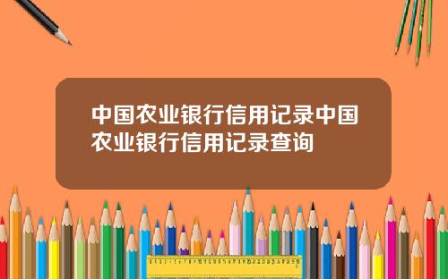 中国农业银行信用记录中国农业银行信用记录查询