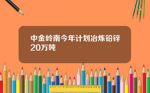 中金岭南今年计划冶炼铅锌20万吨