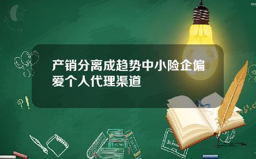 产销分离成趋势中小险企偏爱个人代理渠道