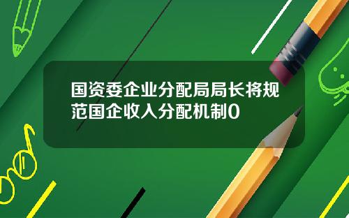 国资委企业分配局局长将规范国企收入分配机制0