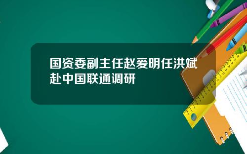 国资委副主任赵爱明任洪斌赴中国联通调研