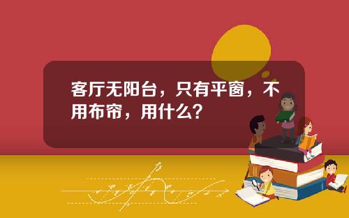 客厅无阳台，只有平窗，不用布帘，用什么？