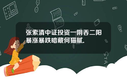 张索清中证投资一阴吞二阳暴涨暴跌暗藏何猫腻.