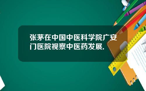 张茅在中国中医科学院广安门医院视察中医药发展.