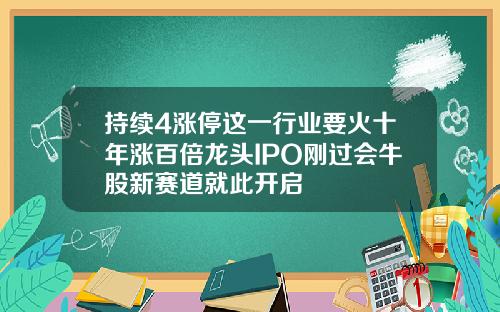 持续4涨停这一行业要火十年涨百倍龙头IPO刚过会牛股新赛道就此开启