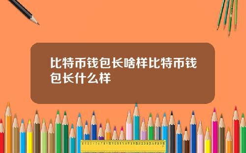 比特币钱包长啥样比特币钱包长什么样