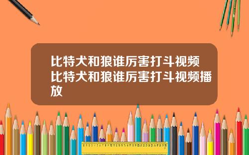 比特犬和狼谁厉害打斗视频比特犬和狼谁厉害打斗视频播放