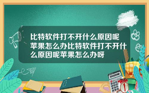 比特软件打不开什么原因呢苹果怎么办比特软件打不开什么原因呢苹果怎么办呀