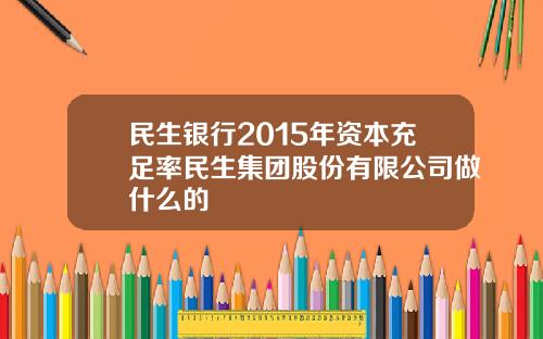 民生银行2015年资本充足率民生集团股份有限公司做什么的