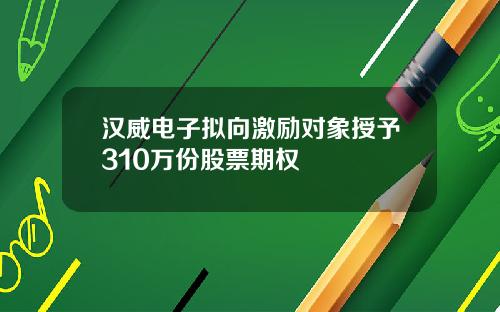 汉威电子拟向激励对象授予310万份股票期权