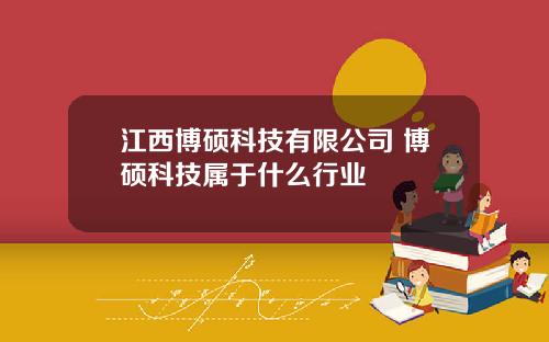 江西博硕科技有限公司 博硕科技属于什么行业