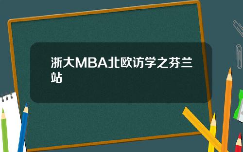 浙大MBA北欧访学之芬兰站