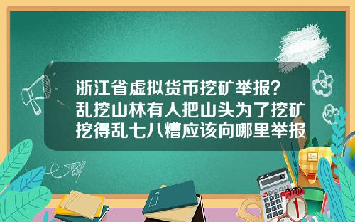 浙江省虚拟货币挖矿举报？乱挖山林有人把山头为了挖矿挖得乱七八糟应该向哪里举报