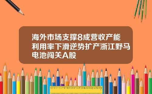 海外市场支撑8成营收产能利用率下滑逆势扩产浙江野马电池闯关A股