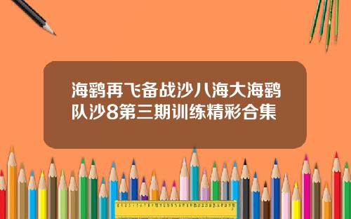 海鹞再飞备战沙八海大海鹞队沙8第三期训练精彩合集