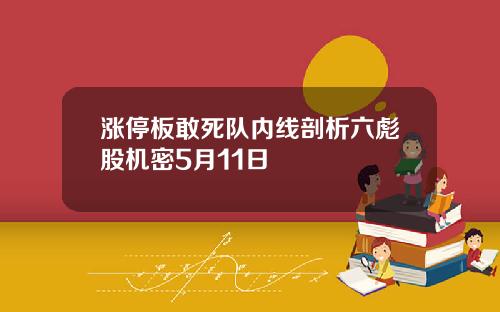 涨停板敢死队内线剖析六彪股机密5月11日