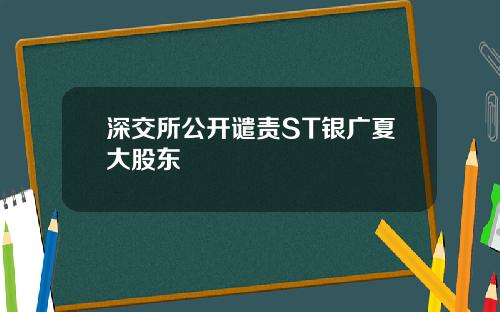 深交所公开谴责ST银广夏大股东