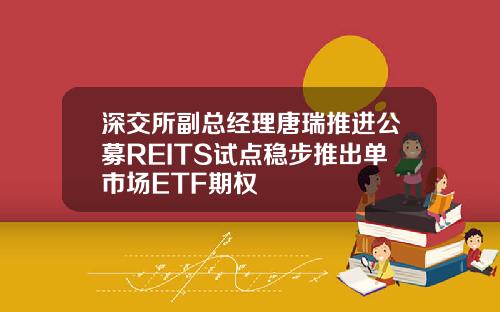 深交所副总经理唐瑞推进公募REITS试点稳步推出单市场ETF期权