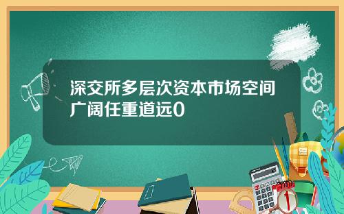 深交所多层次资本市场空间广阔任重道远0