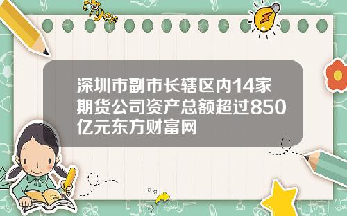 深圳市副市长辖区内14家期货公司资产总额超过850亿元东方财富网