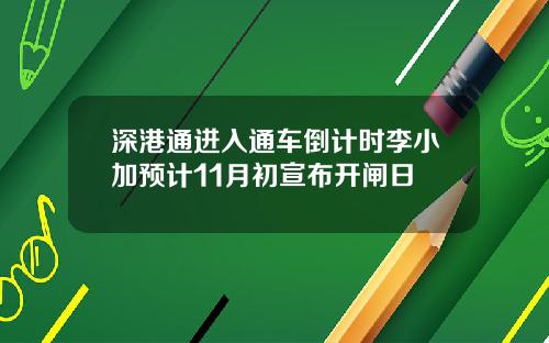 深港通进入通车倒计时李小加预计11月初宣布开闸日