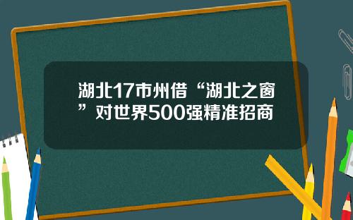 湖北17市州借“湖北之窗”对世界500强精准招商