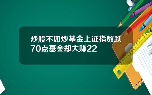 炒股不如炒基金上证指数跌70点基金却大赚22