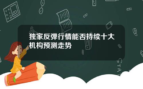 独家反弹行情能否持续十大机构预测走势