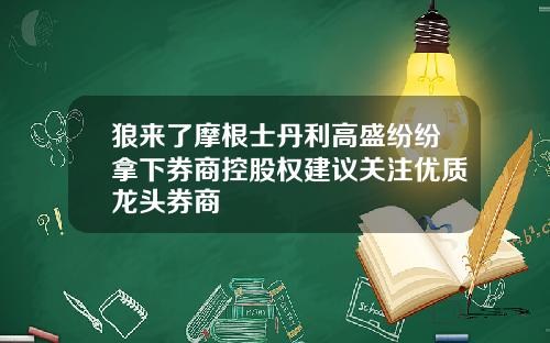 狼来了摩根士丹利高盛纷纷拿下券商控股权建议关注优质龙头券商