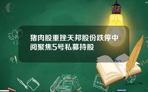 猪肉股重挫天邦股份跌停中阅聚焦5号私募持股