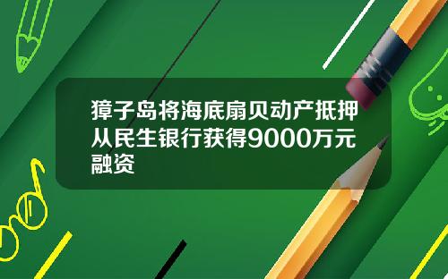 獐子岛将海底扇贝动产抵押从民生银行获得9000万元融资