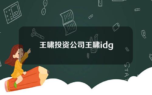 王啸投资公司王啸idg