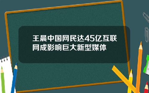 王晨中国网民达45亿互联网成影响巨大新型媒体