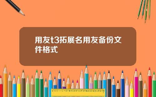 用友t3拓展名用友备份文件格式