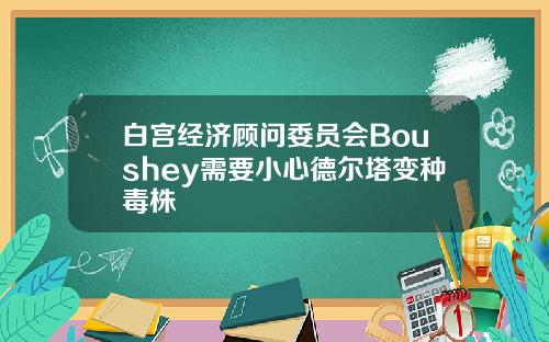 白宫经济顾问委员会Boushey需要小心德尔塔变种毒株