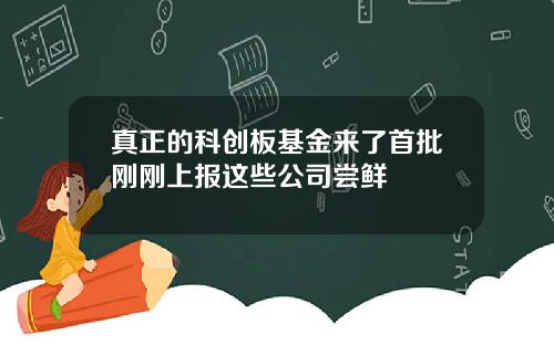 真正的科创板基金来了首批刚刚上报这些公司尝鲜