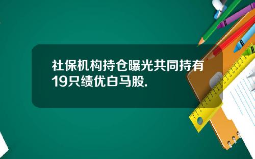 社保机构持仓曝光共同持有19只绩优白马股.