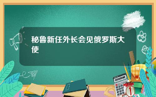 秘鲁新任外长会见俄罗斯大使