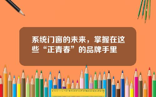 系统门窗的未来，掌握在这些“正青春”的品牌手里