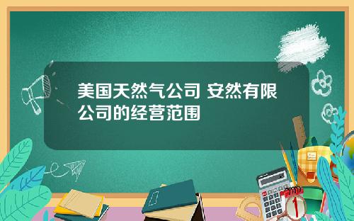 美国天然气公司 安然有限公司的经营范围