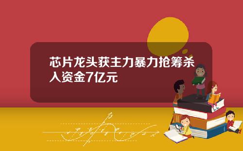 芯片龙头获主力暴力抢筹杀入资金7亿元