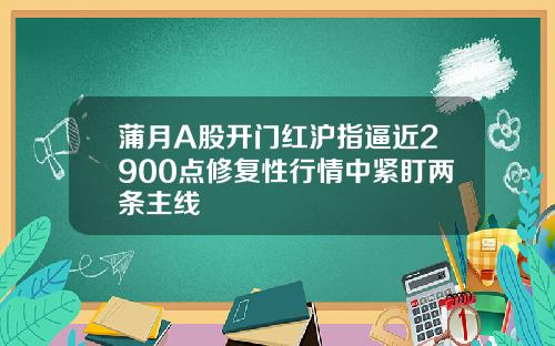 蒲月A股开门红沪指逼近2900点修复性行情中紧盯两条主线