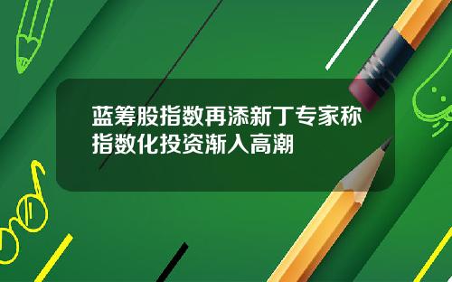 蓝筹股指数再添新丁专家称指数化投资渐入高潮