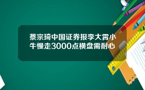 蔡宗琦中国证券报李大霄小牛慢走3000点横盘需耐心