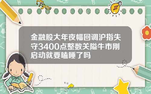 金融股大年夜幅回调沪指失守3400点整数关隘牛市刚启动就要瞌睡了吗