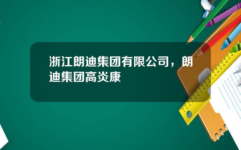 浙江朗迪集团有限公司，朗迪集团高炎康