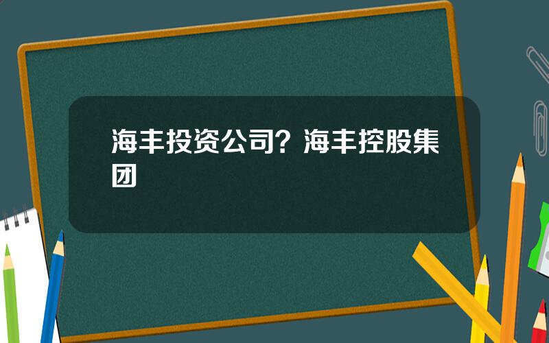 海丰投资公司？海丰控股集团