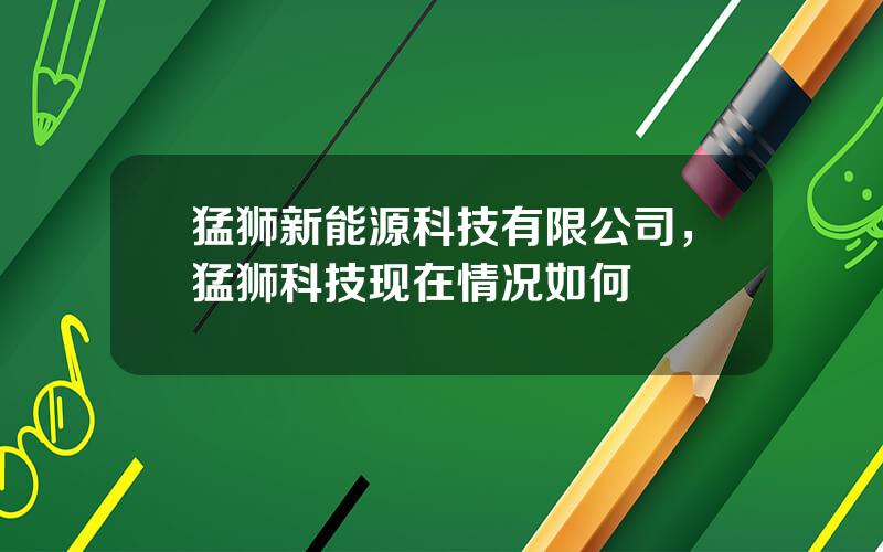 猛狮新能源科技有限公司，猛狮科技现在情况如何