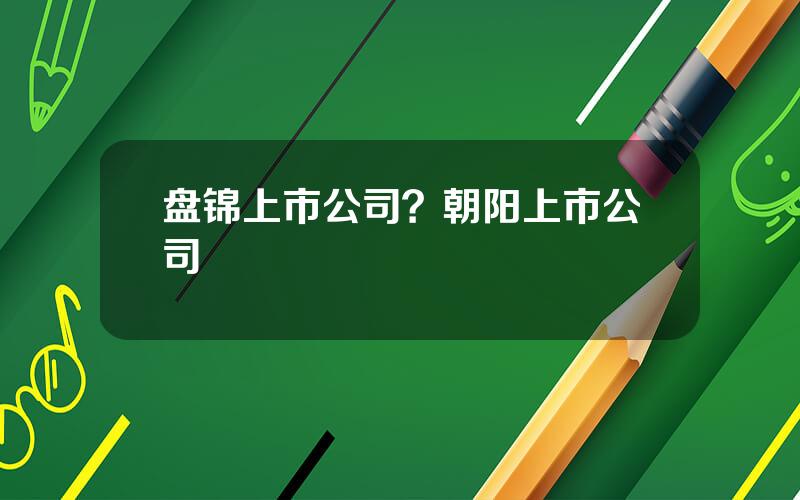 盘锦上市公司？朝阳上市公司