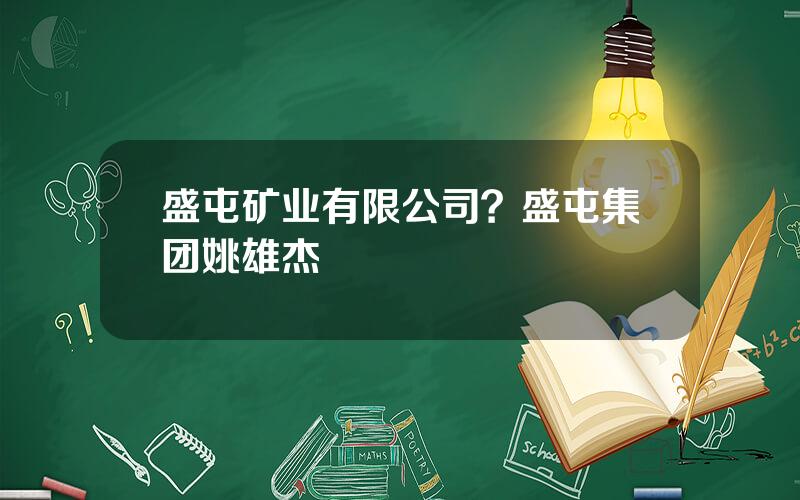 盛屯矿业有限公司？盛屯集团姚雄杰